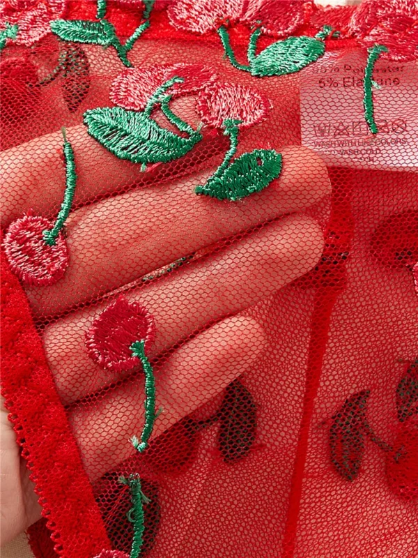 Sexy Lingerie Sets Ultra Thin Lace Transparent Underwear Romantic See Through Exotic Sets Embroidery Flowers Red Bra Brief Sets - Image 5