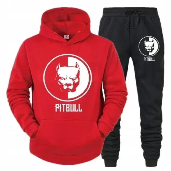 Brand New Spring and Autumn Men's Set Two-piece Hooded Shirt+running Pants Sports Set Casual Men's Sports Shirt Sportswear Hood - Image 2