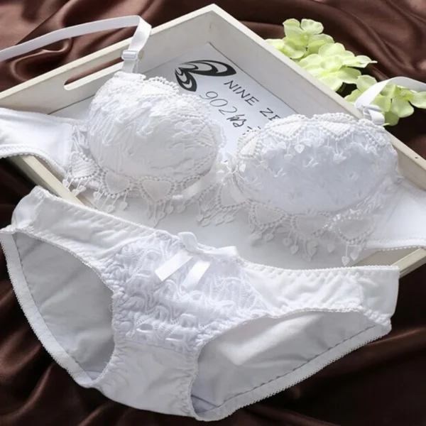 Women Lace Bra Sets Flower Printed Underwear Suit Sexy Lady Ultra-Thin Lingerie Comfortable Push Up Brassiere Outfit - Image 3